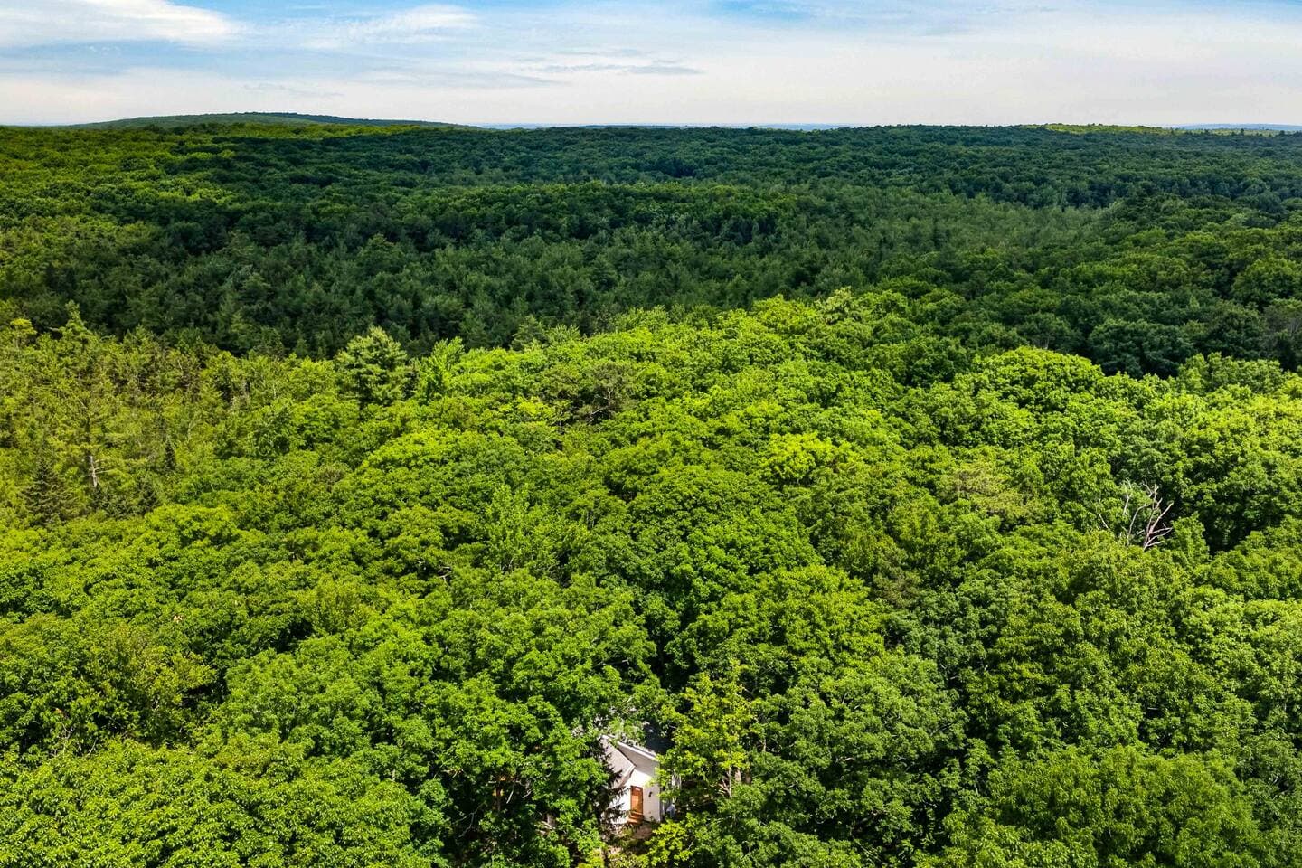 Secluded Wooded Serenity In Pennsylvania Mountains