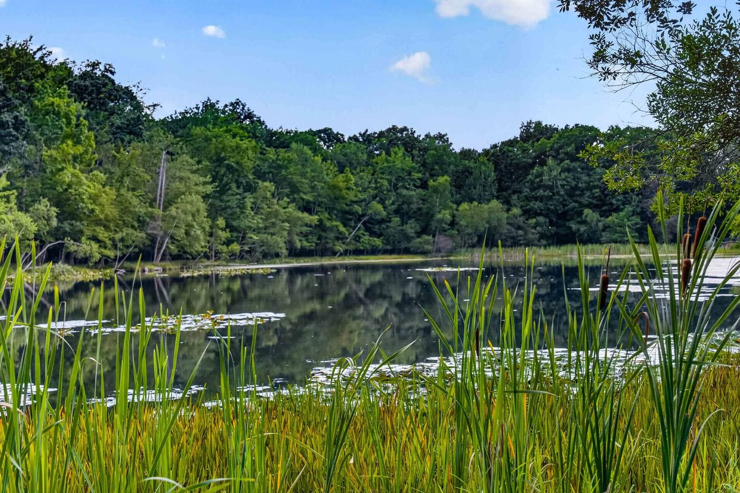 Lake Front Oasis Near Bushkill & Shawnee W Hot Tub